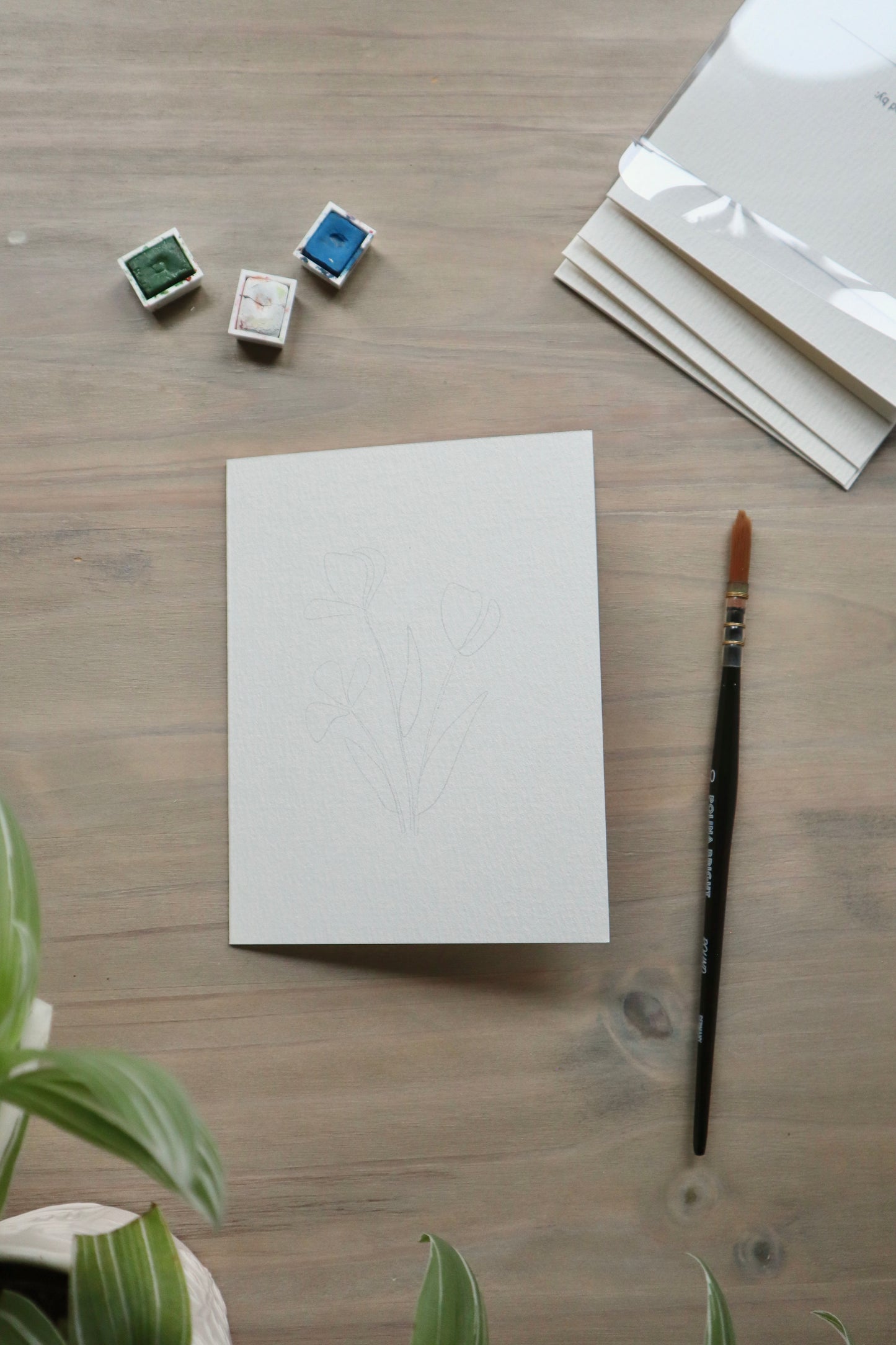 Paint-Your-Own Flower Greeting Cards