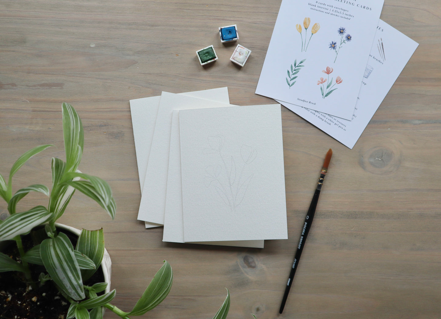 Paint-Your-Own Flower Greeting Cards