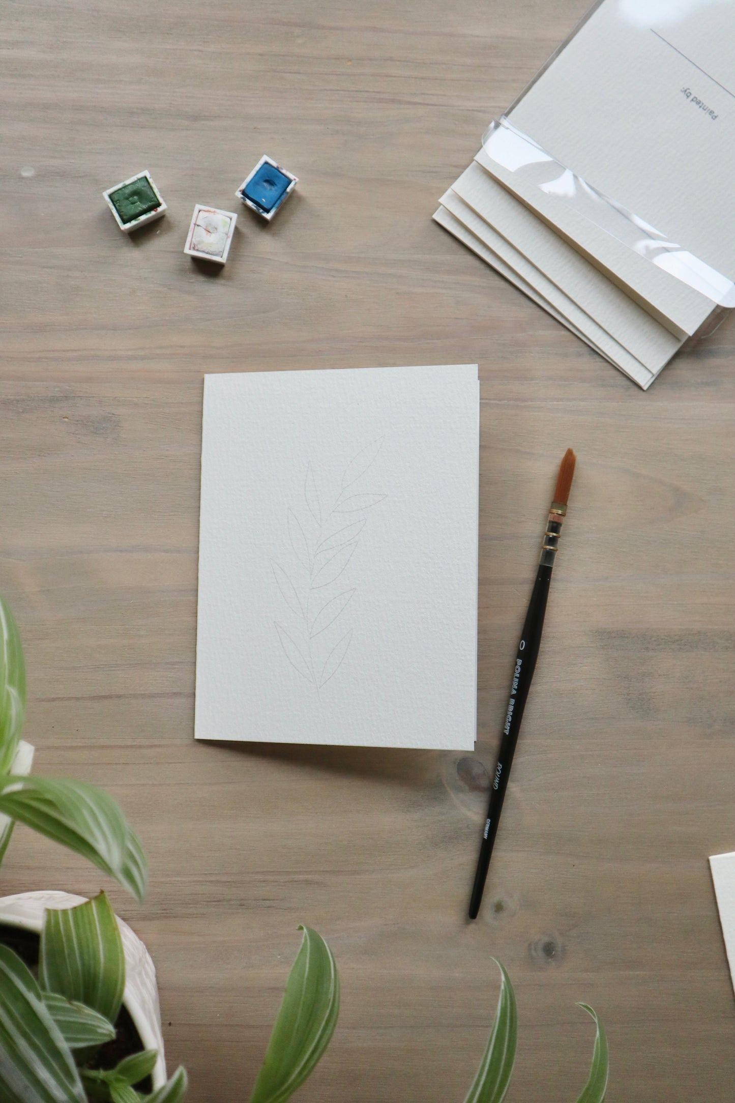 Paint-Your-Own Flower Greeting Cards