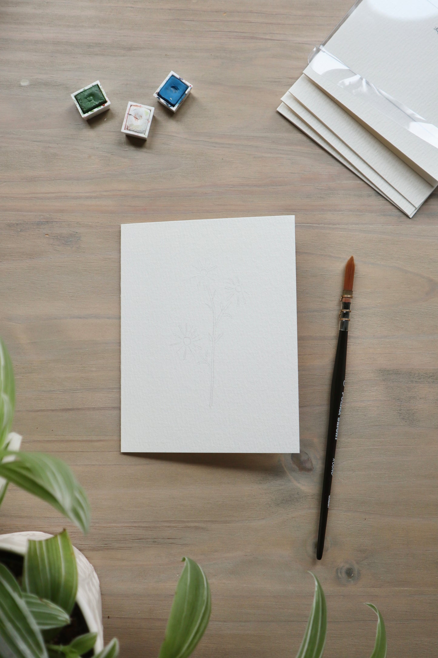 Paint-Your-Own Flower Greeting Cards