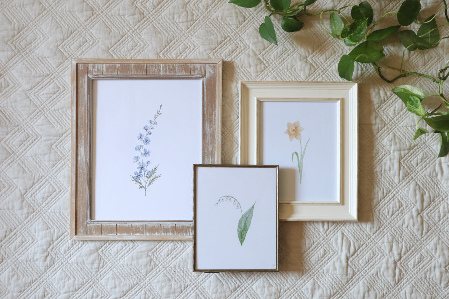 Birth Month Flowers