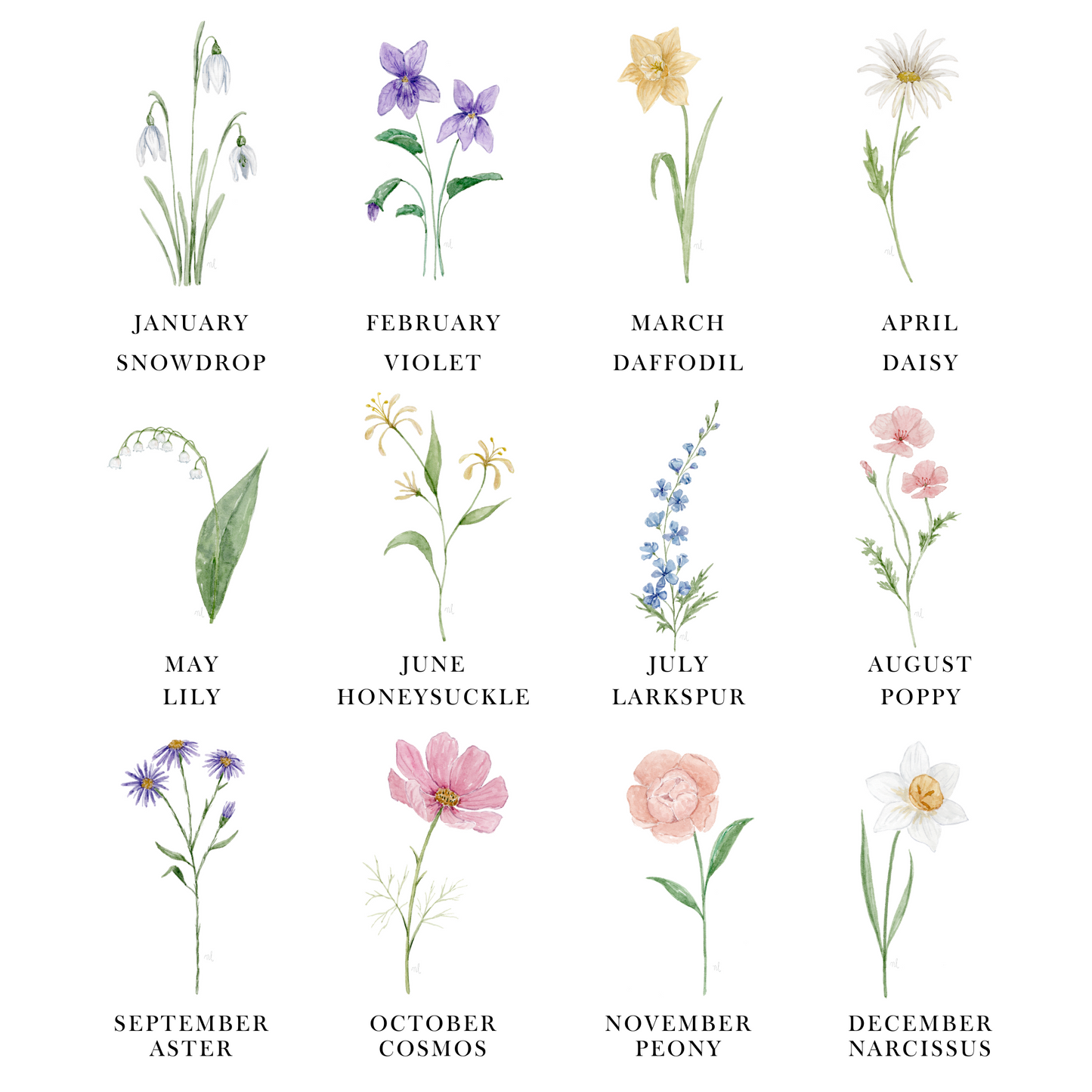 Birth Month Flowers