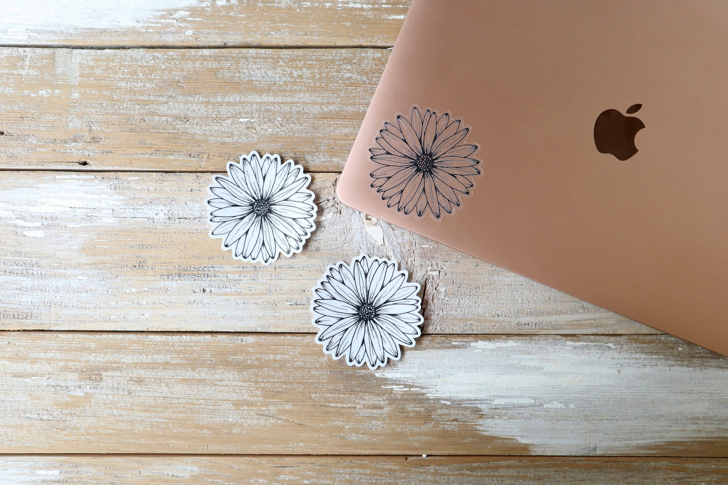 ONLY WS - 8 Daisy Stickers