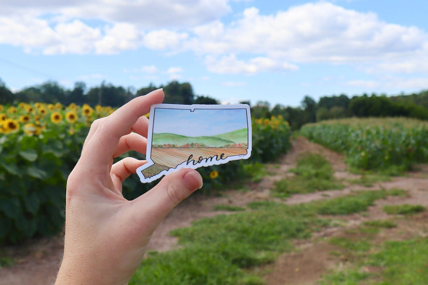 Connecticut Sticker