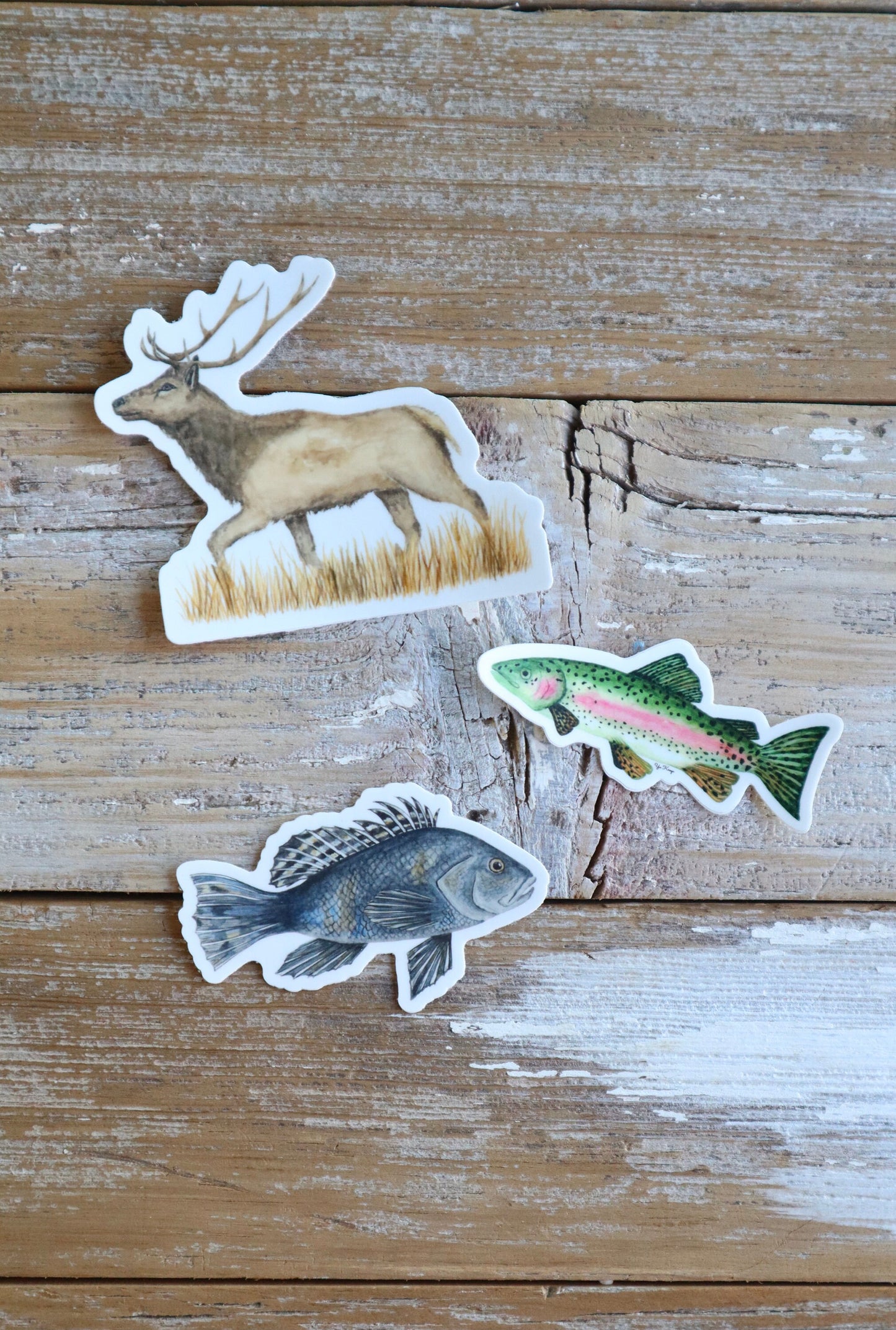 Elk Sticker
