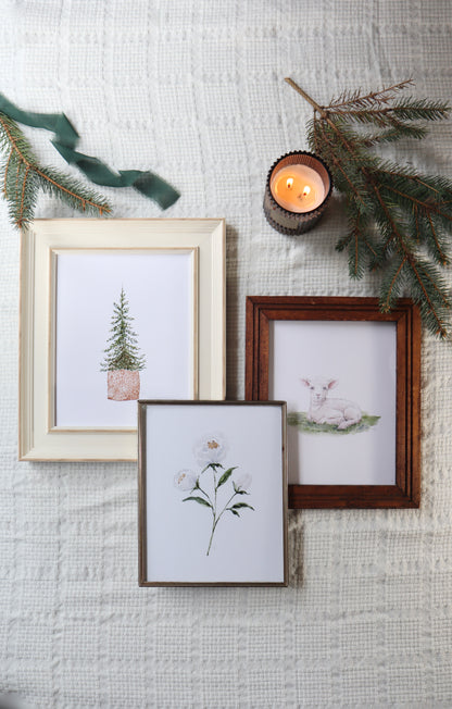 Framed prints of nature scenes on a textured wall with candles and greenery.