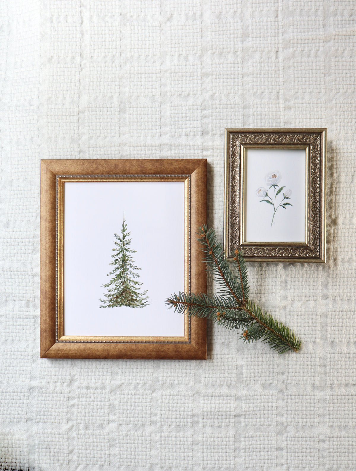 ONLY  WS - 6 Pine Tree Prints
