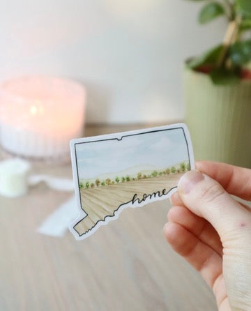 ONLY  WS - 8 Connecticut Stickers
