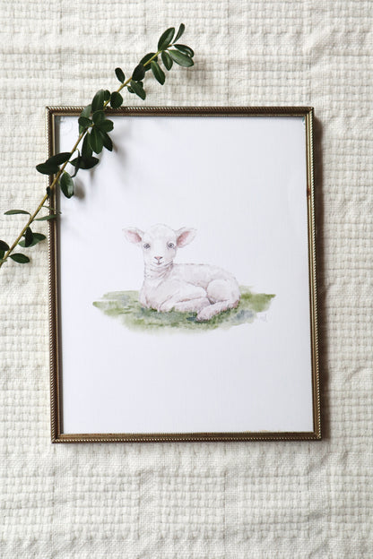 ONLY  WS - 6 Lamb Prints