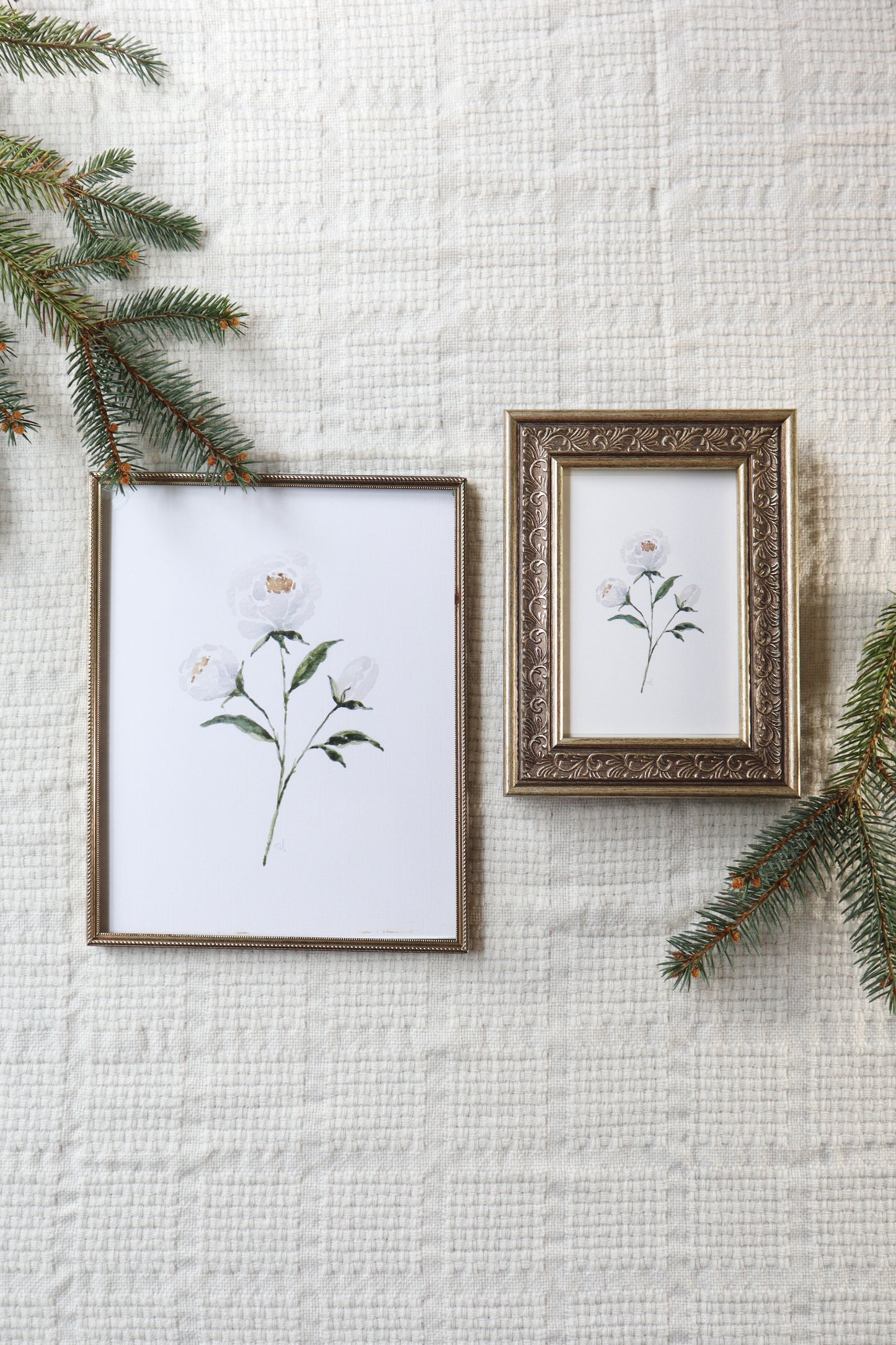 White Peony Print