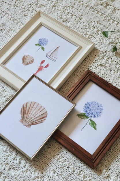 ONLY  WS - 6 Shell Prints
