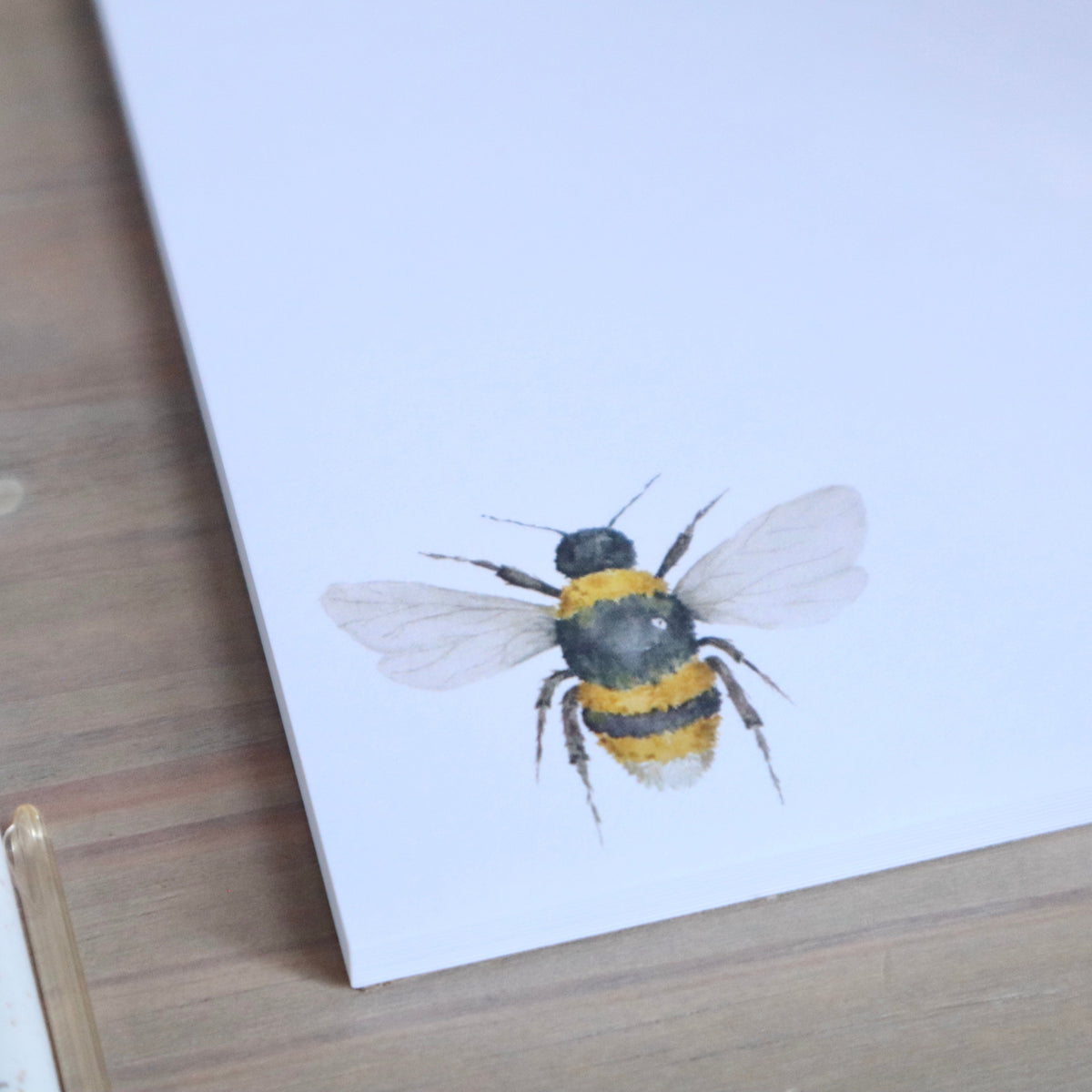 ONLY  WS - 6 Bee Notepads