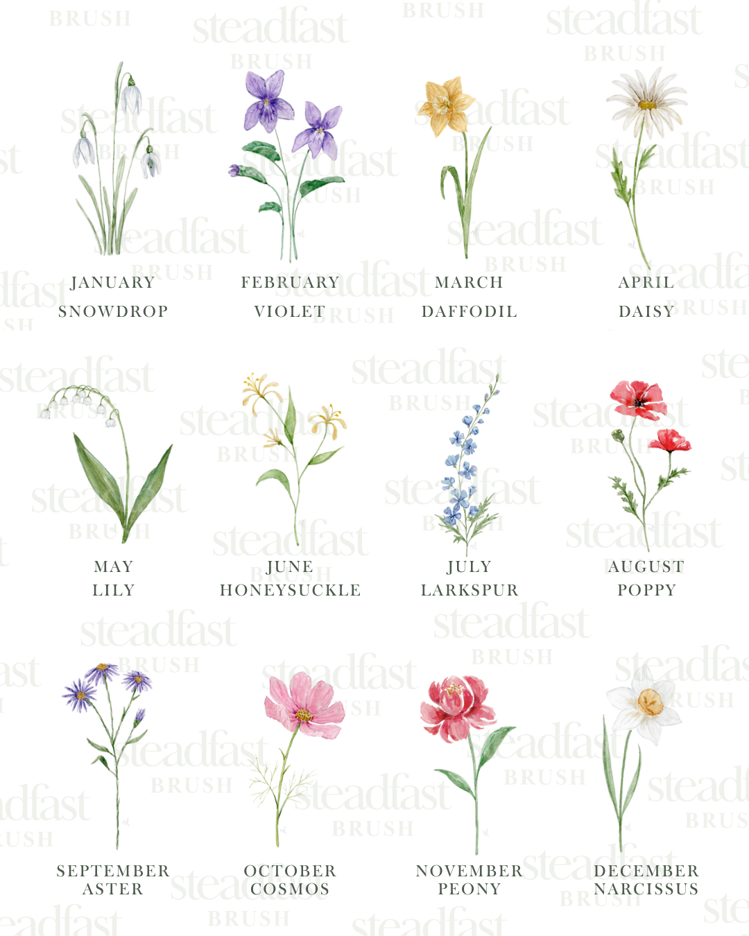 Birth Flower & Name Print