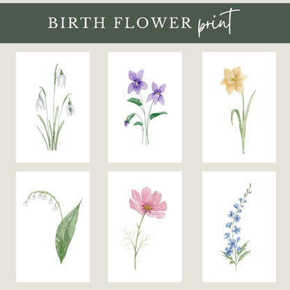 Birth Month Flowers