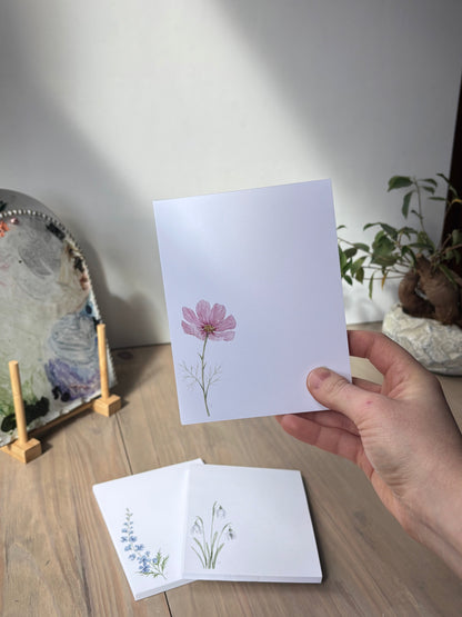 ONLY  WS - 6 Cosmos Notepads