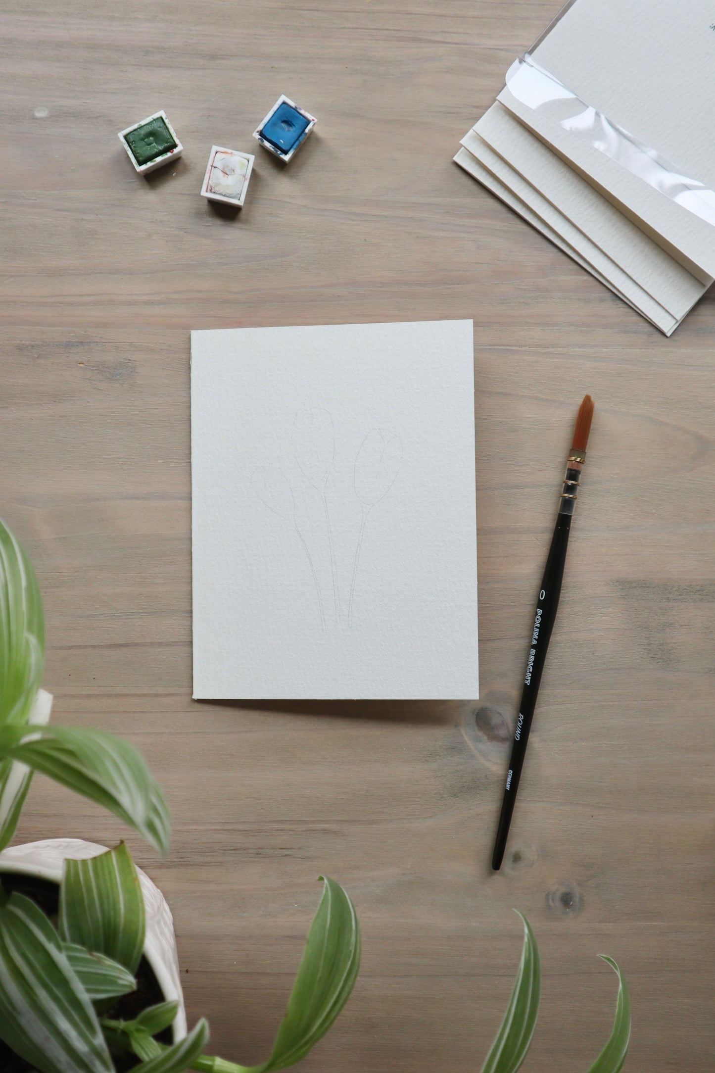 Paint-Your-Own Flower Greeting Cards