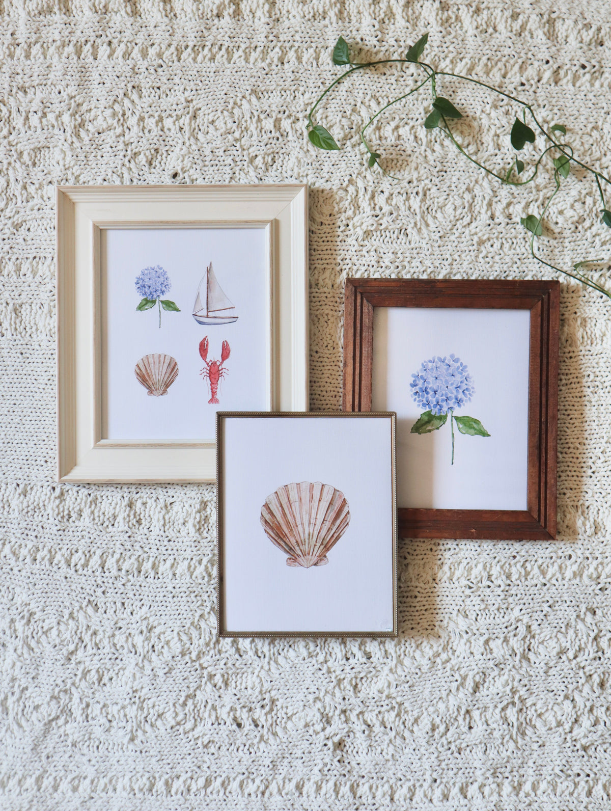 ONLY  WS - 6 Coastal Prints