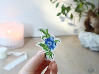 ONLY  WS - 8 Blueberry Stickers