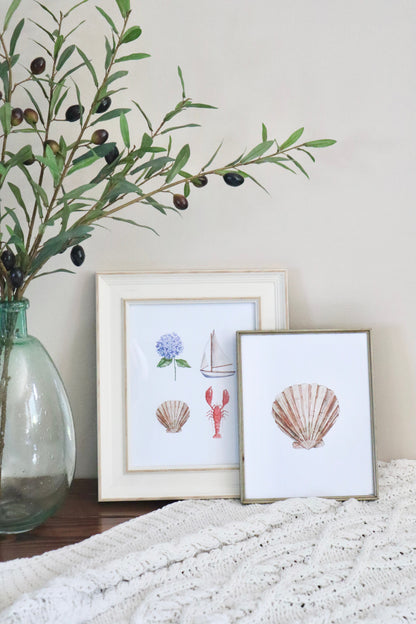 ONLY  WS - 6 Shell Prints