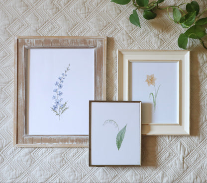 ONLY  WS - 6 Birth Flower Prints