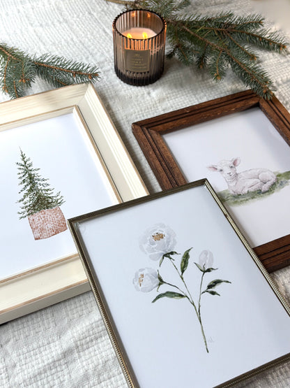 White Peony Print