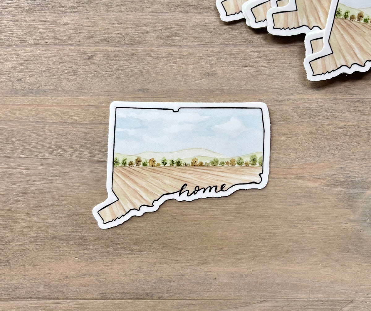 ONLY  WS - 8 Connecticut Stickers