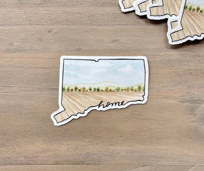 ONLY  WS - 8 Connecticut Stickers