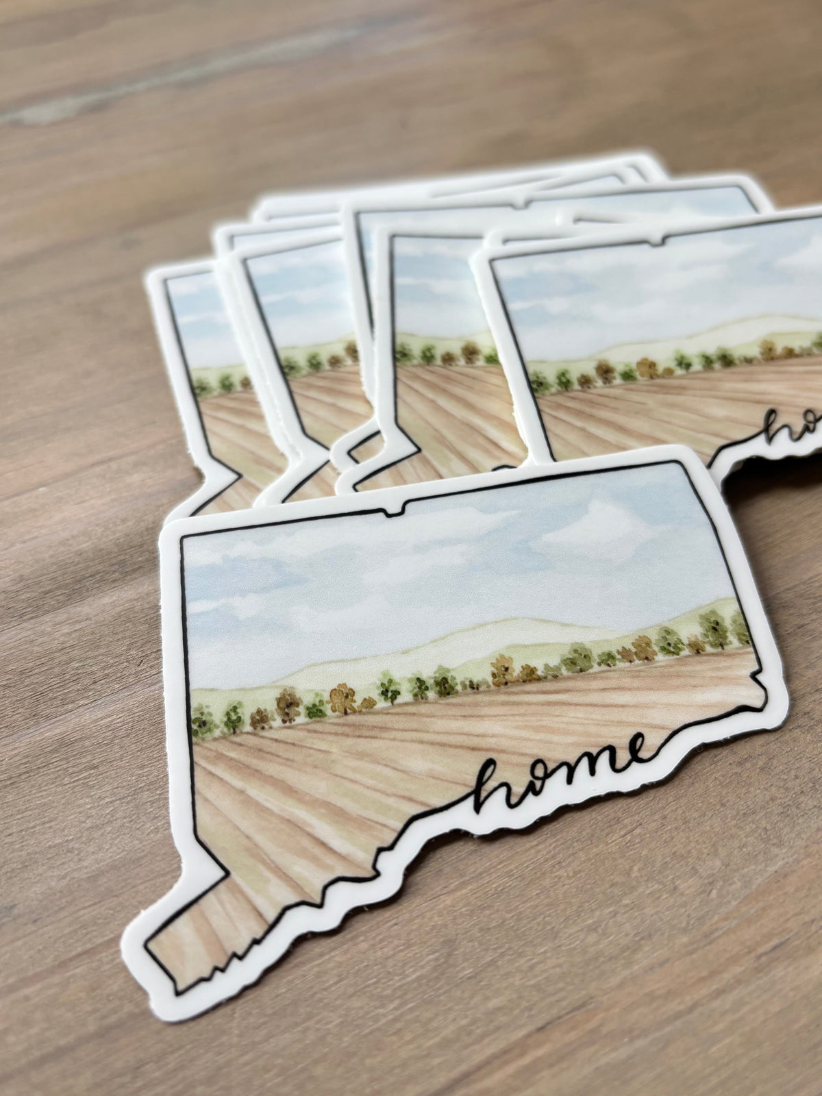 ONLY  WS - 8 Connecticut Stickers