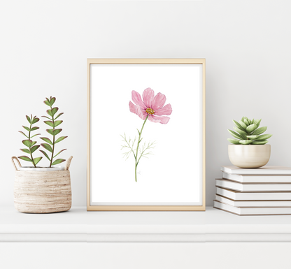 Birth Month Flowers