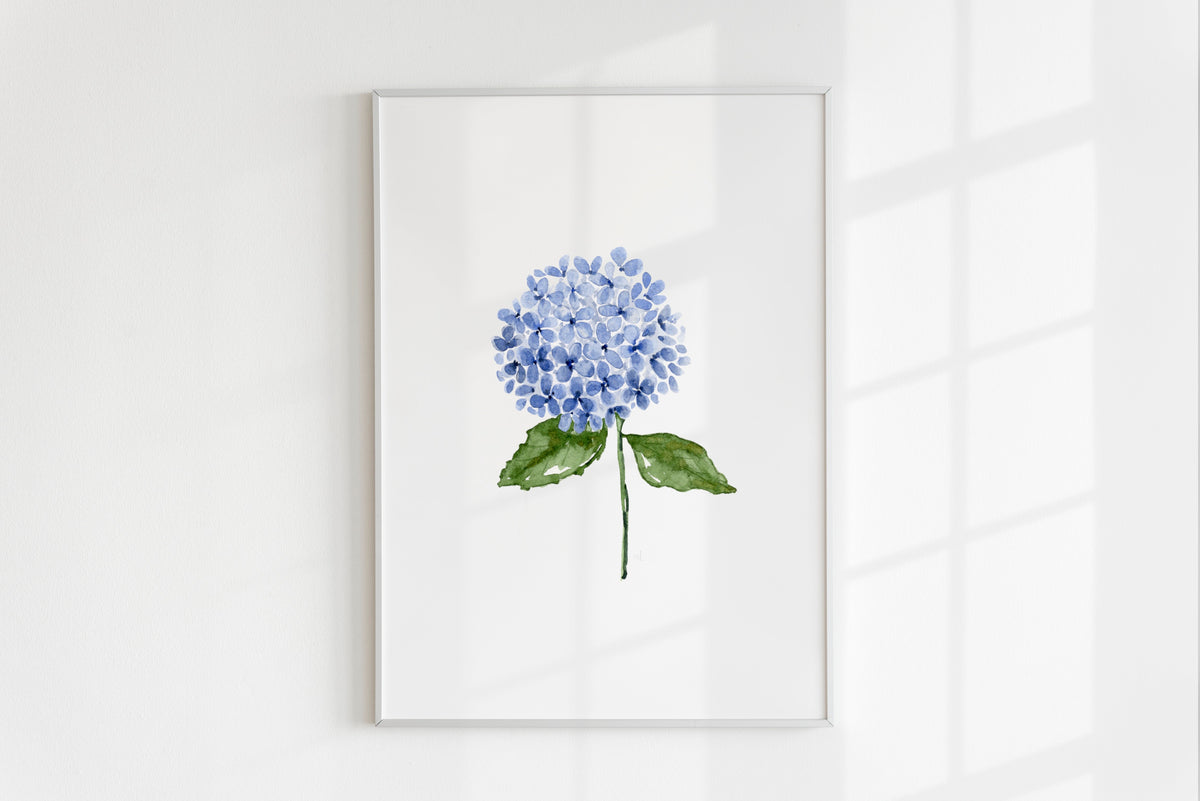 ONLY  WS - 6 Hydrangea Prints