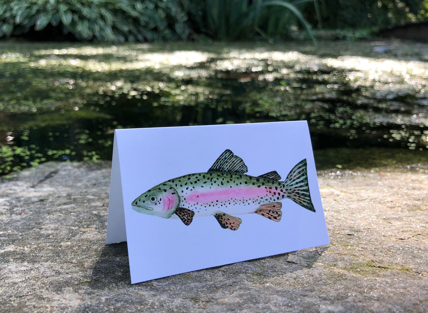 Trout Card