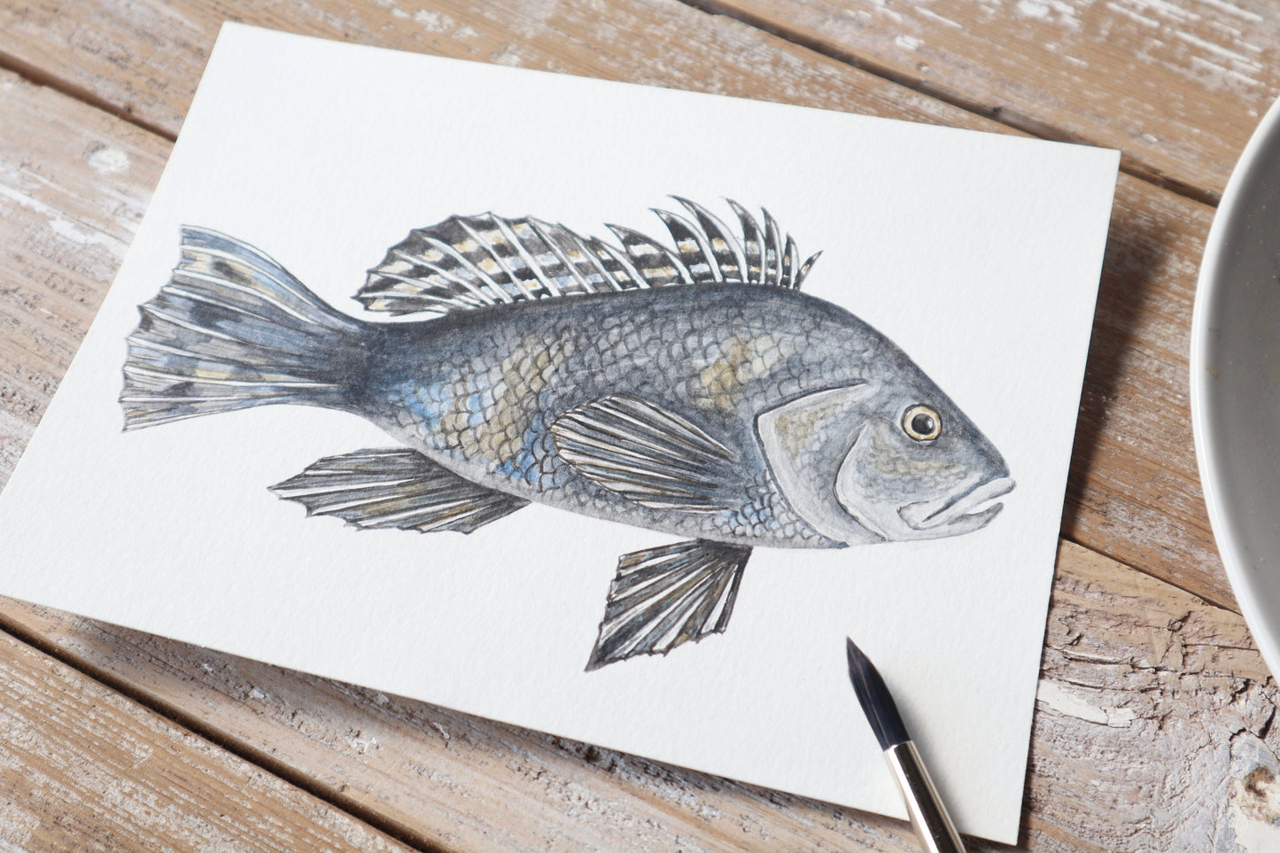 Black Sea Bass Card