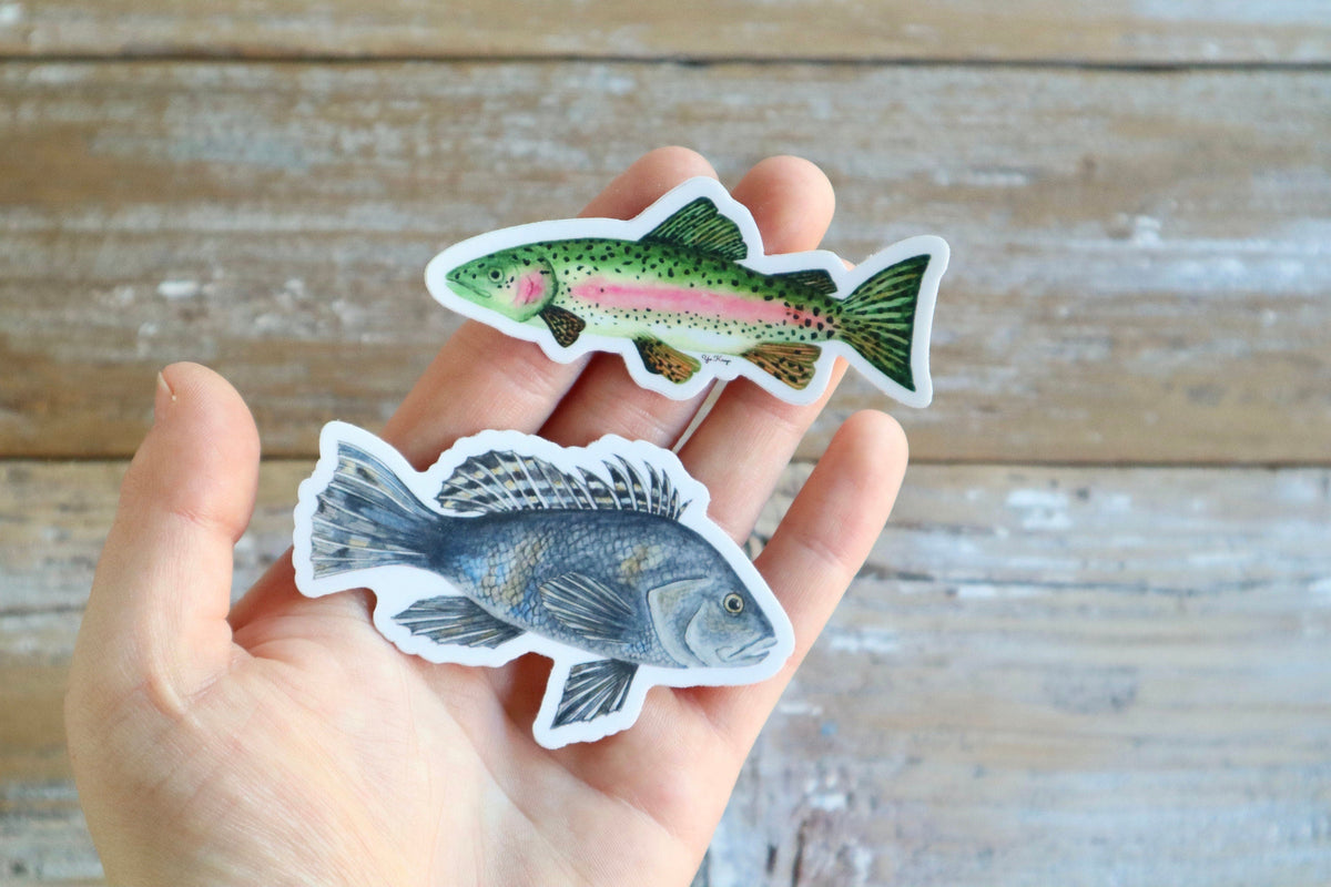 ONLY  WS - 8 Black Sea Bass Stickers