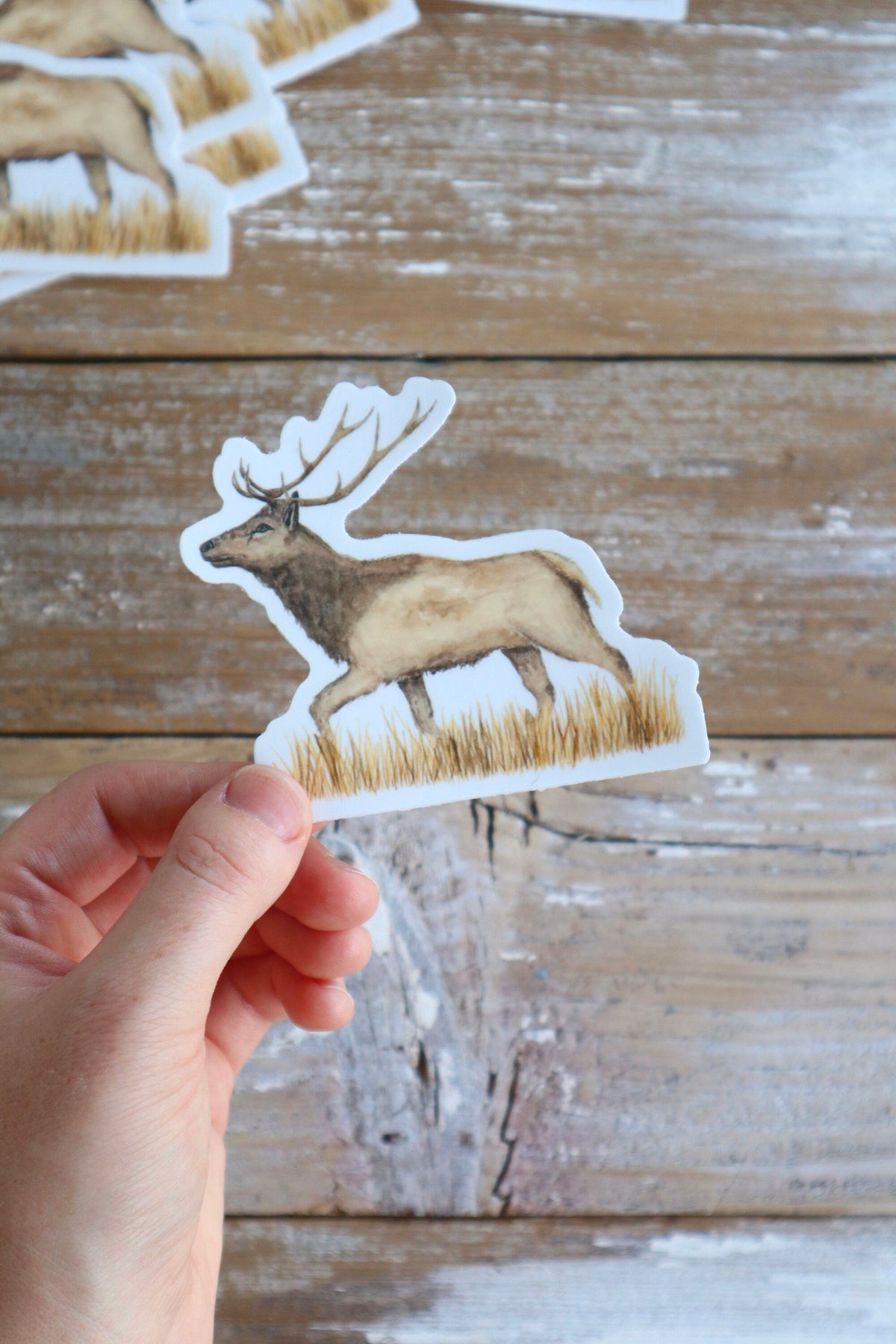ONLY  WS - 8 Elk Stickers