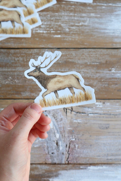 ONLY  WS - 8 Elk Stickers