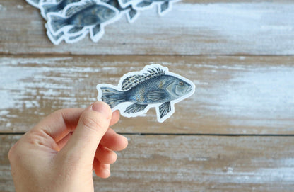 ONLY  WS - 8 Black Sea Bass Stickers