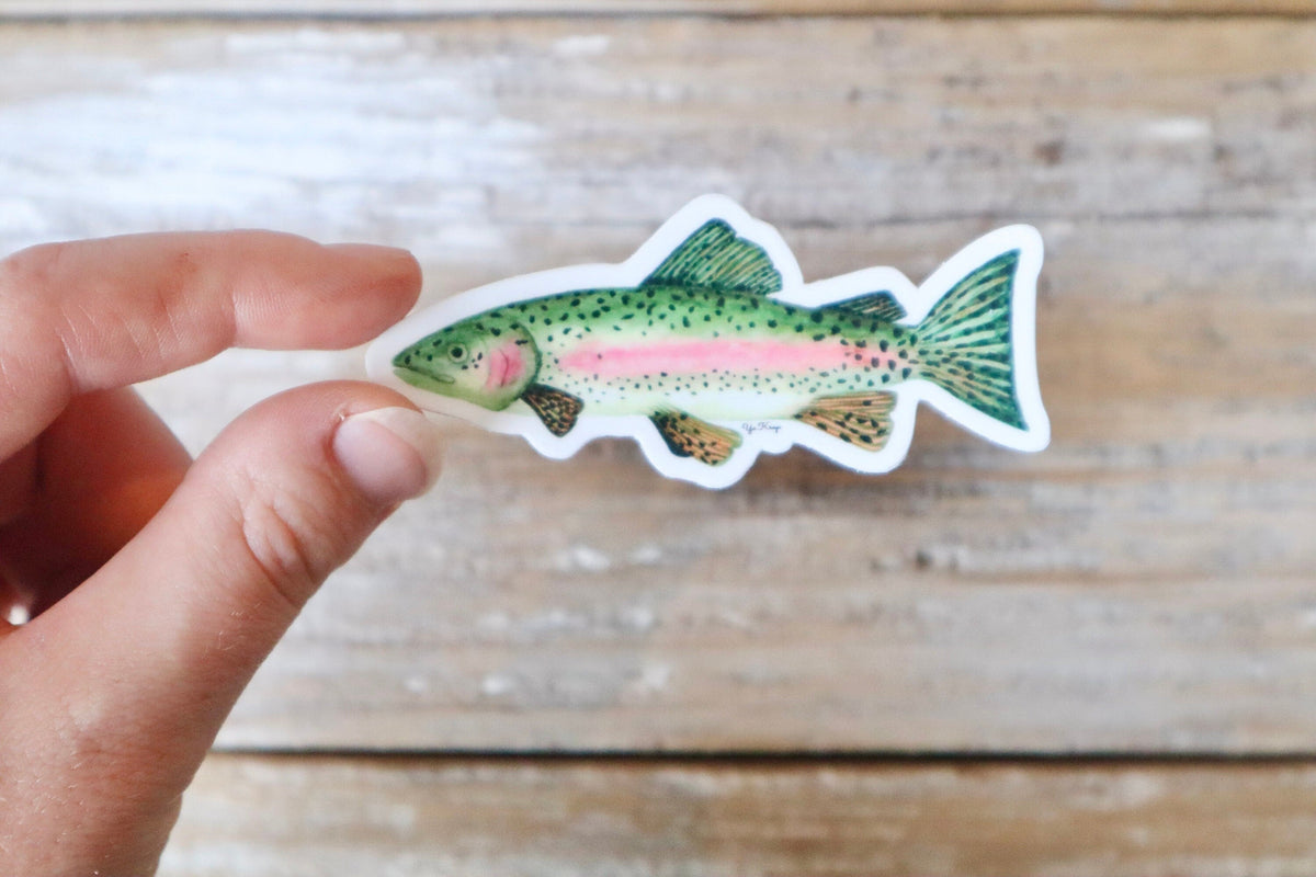 ONLY  WS - 8 Rainbow Trout Stickers