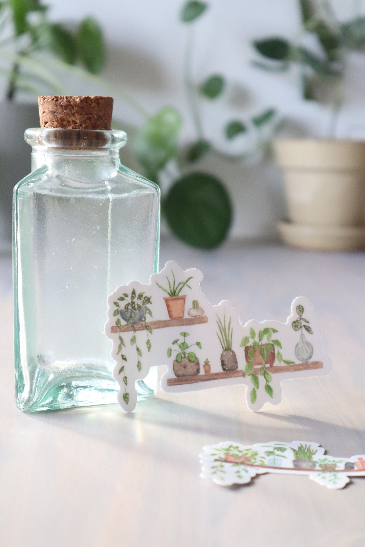 ONLY  WS - 8 Plant Shelf Stickers