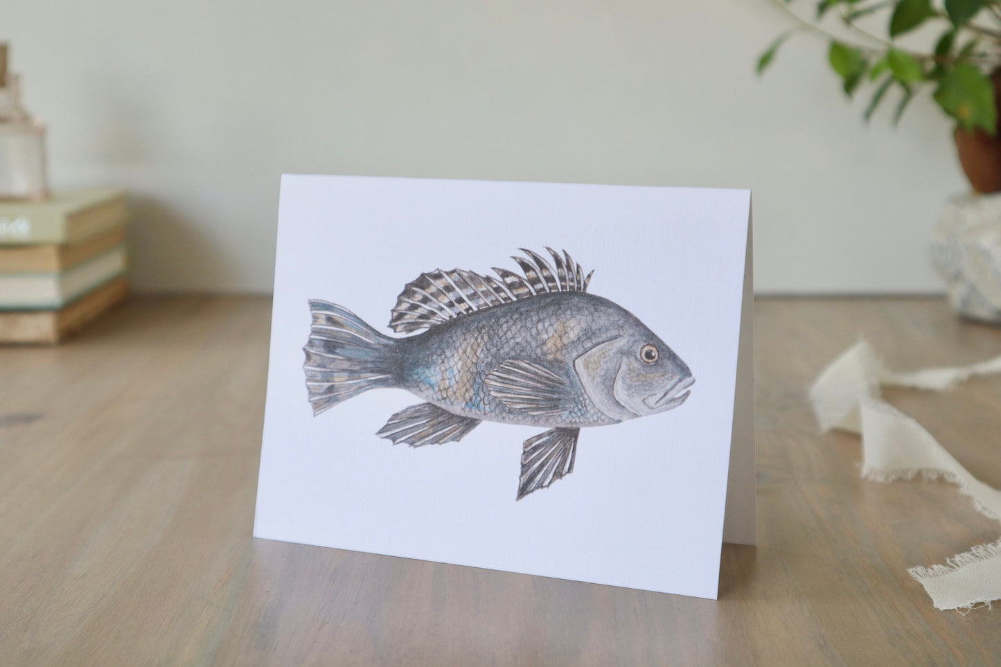 Black Sea Bass Card