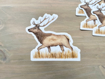 ONLY  WS - 8 Elk Stickers