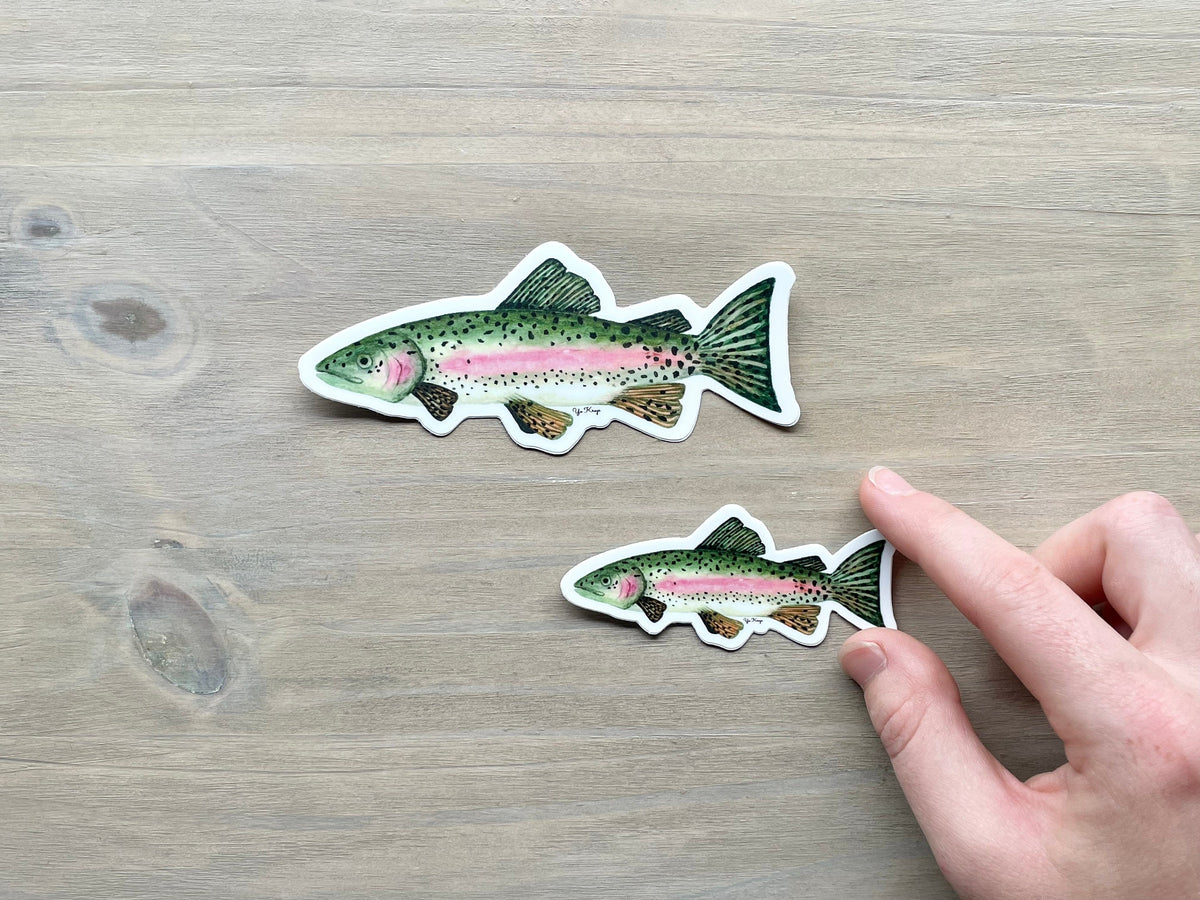 ONLY  WS - 8 Rainbow Trout Stickers