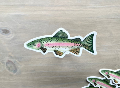 Rainbow Trout Sticker