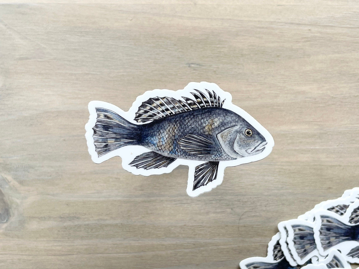 ONLY  WS - 8 Black Sea Bass Stickers