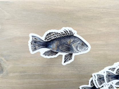 ONLY  WS - 8 Black Sea Bass Stickers
