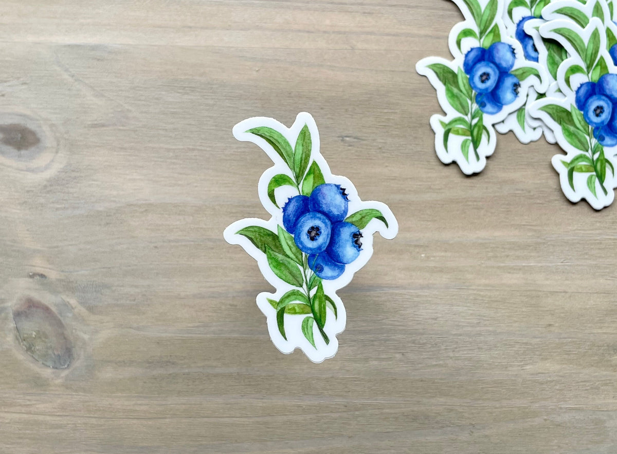 ONLY  WS - 8 Blueberry Stickers