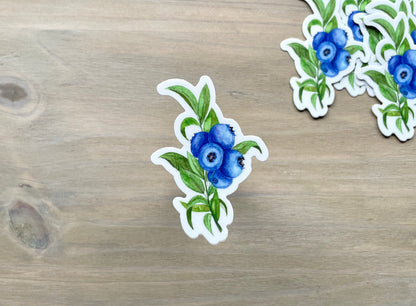 ONLY  WS - 8 Blueberry Stickers