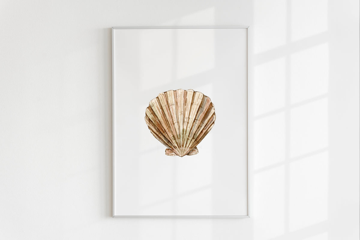 ONLY  WS - 6 Shell Prints