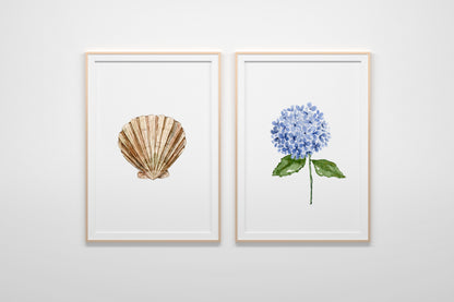 ONLY  WS - 6 Shell Prints