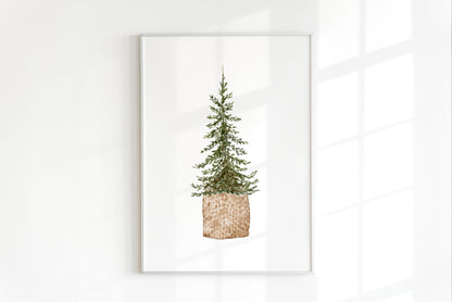 Pine Tree Print