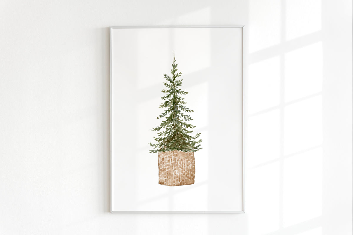 ONLY  WS - 6 Pine Tree Prints